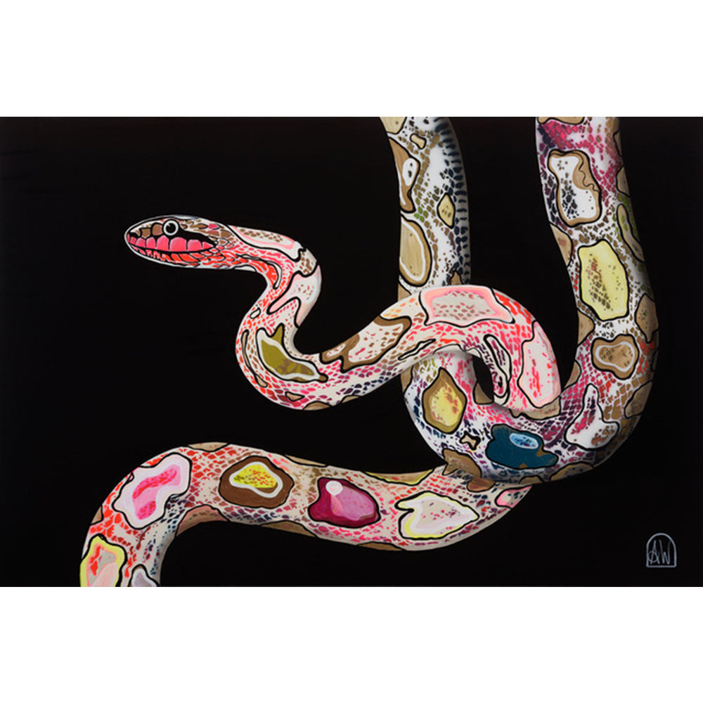 Hope Python – Corner Room Design